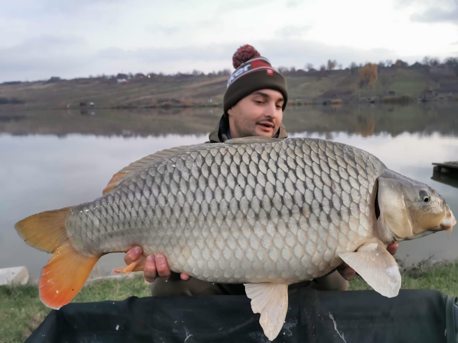 Păușești - img-20191109-wa0004.jpg